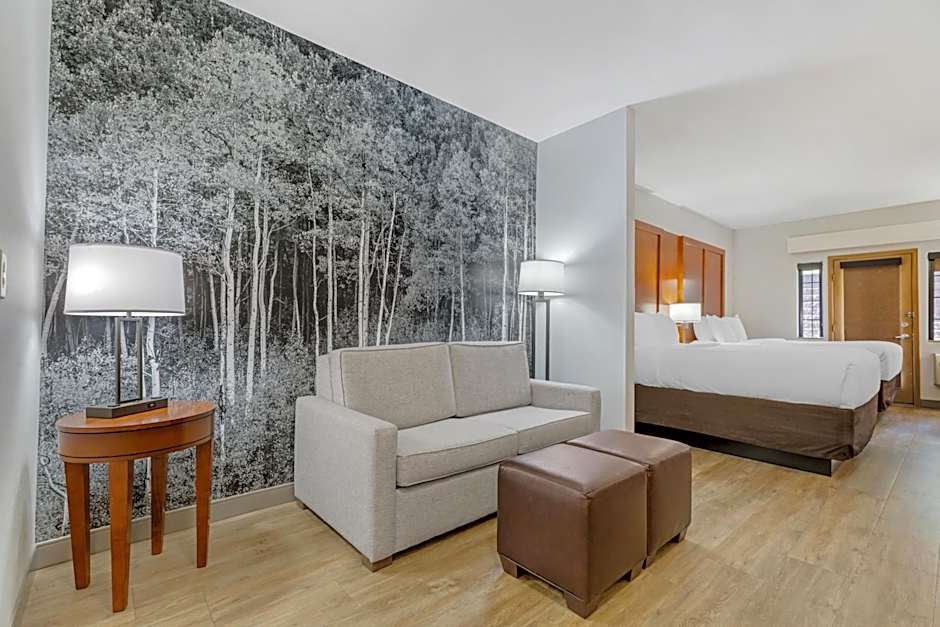 Comfort Suites Golden West on Evergreen Parkway