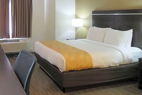 1 King Bed, Suite, Nonsmoking