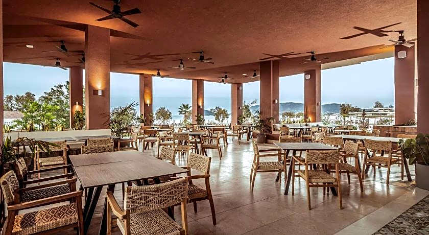 Domes Aulus Zante, Autograph Collection