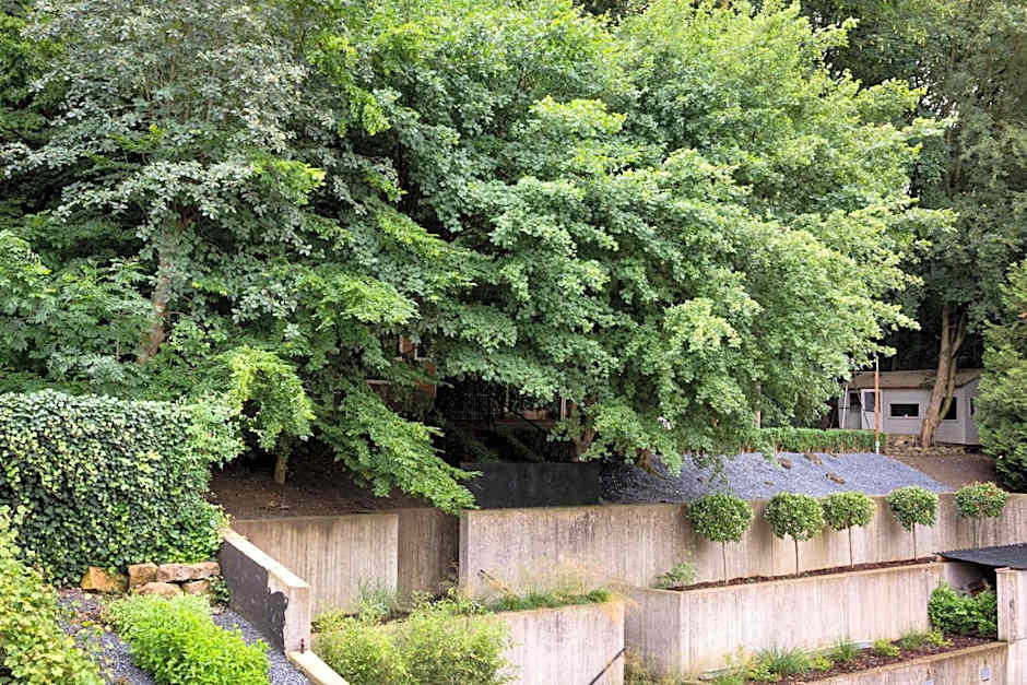 Hostellerie du Grünewald