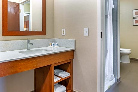 1 King Bed, Suite, Nonsmoking