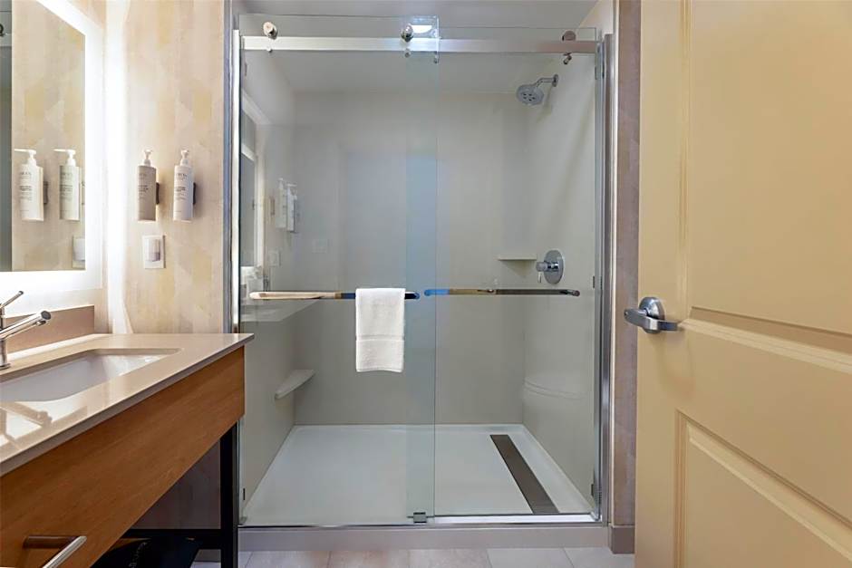 Hampton Inn By Hilton Lawrenceville Duluth