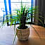 Menlyn Apartment