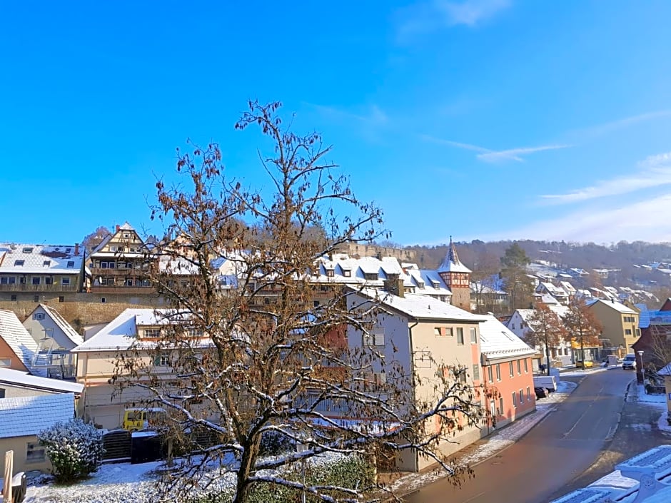 Kelterhotel Fröscher