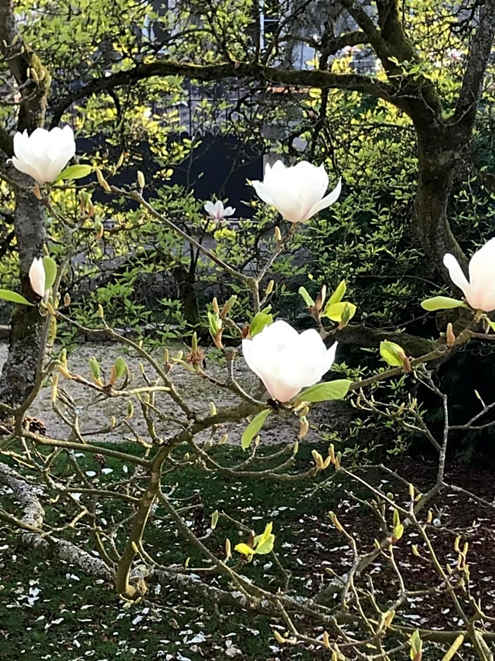 L'Atelier des Magnolias