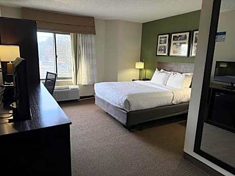 Queen Room with Roll-In Shower - Accessible/Non-Smoking