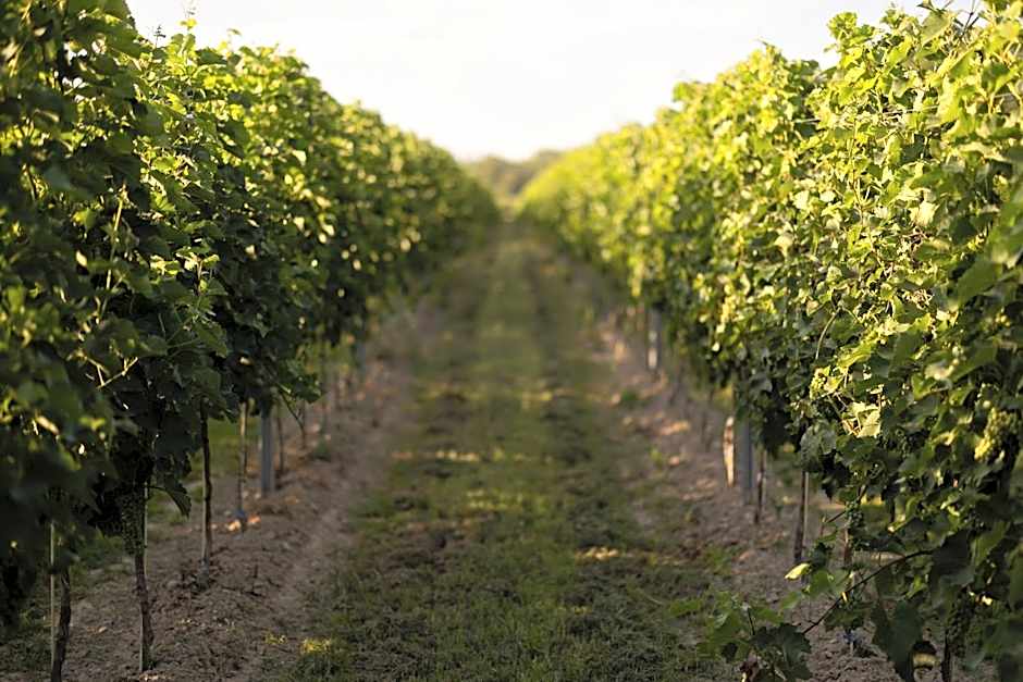 Hotel & Spa Pałac Mała Wieś