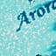 Arora Hotel