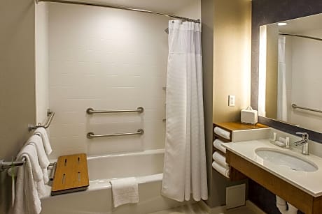 Family Studio, Multiple Beds (2 Queen Beds and 1 Double Sofa Bed)