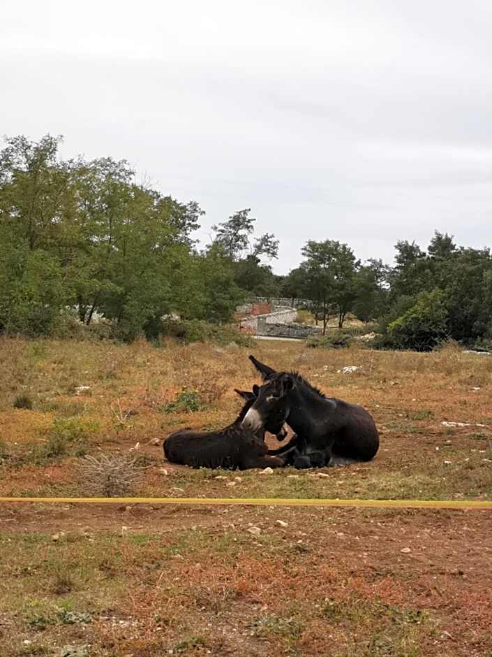 Vecchia Mottola Albergo Diffuso