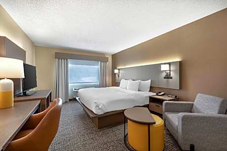 1 King Bed Nonsmoking