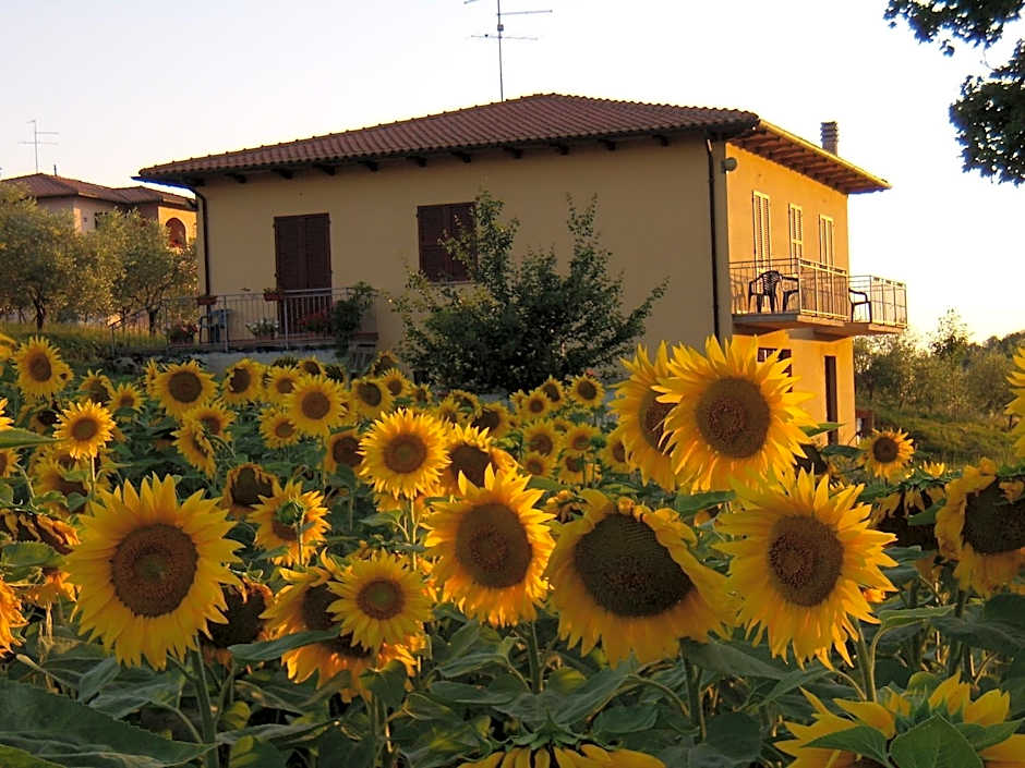 B&B Il Girasole - Rooms & House in country - air conditioned - 1500 meters from historic center