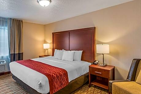 1 King Bed, Suite, Nonsmoking