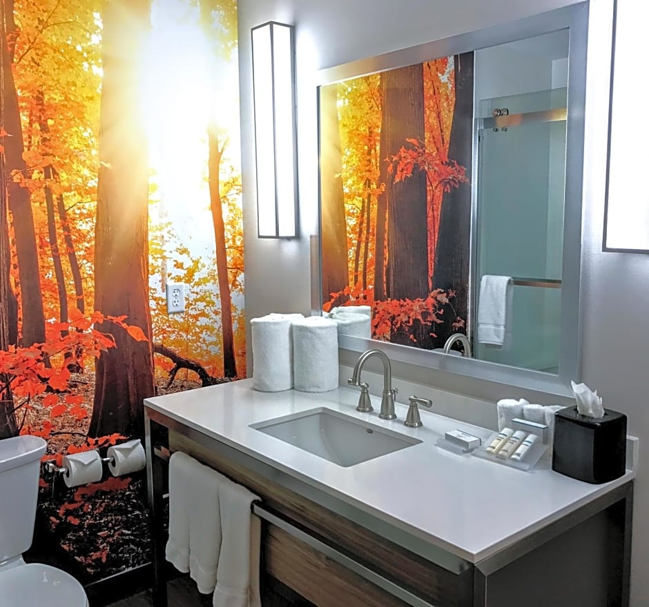 Hilton Garden Inn Minneapolis Airport Mall of America