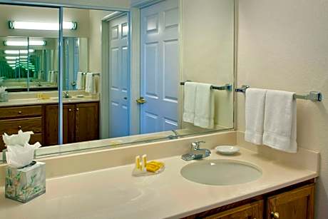 Queen Studio with Sofa Bed and Roll-in Shower - Mobility and Hearing Accessible