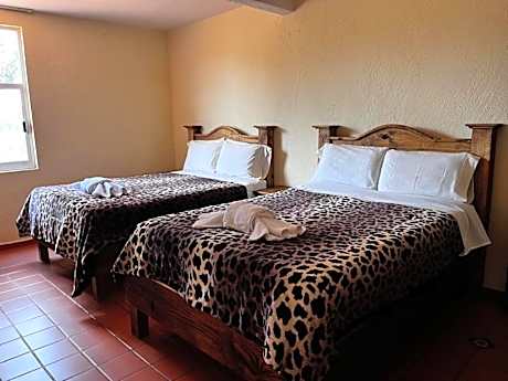 Double Room with Two Double Beds