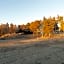 Cedar Inn
