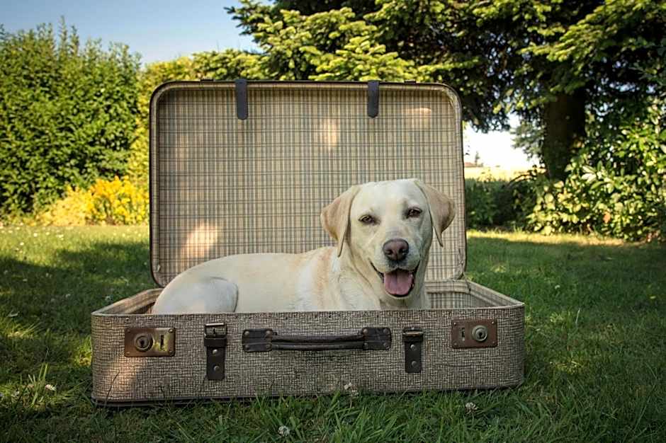 Hotel & Gasthof Hubertushöhe - Ihr Hotel für Urlaub mit Hund