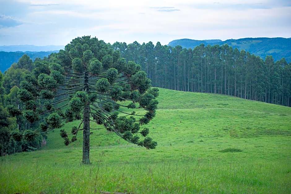Pousada Alpes da Mantiqueira
