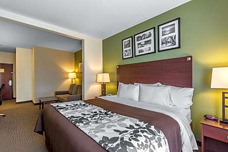 Accessible King Suite with Sofa Bed - Non Smoking