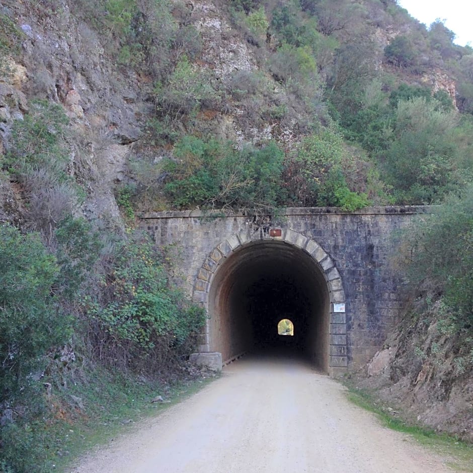 No 31 Bed & Breakfast