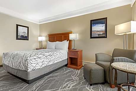 Best Western Plus Silver Saddle Inn