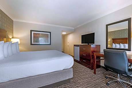 Accessible Suite King Bed Bathtub Non Smoking