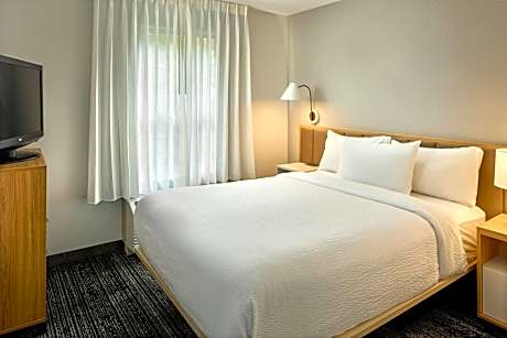 1 Bedroom Suite, 1 Queen, Sofa bed