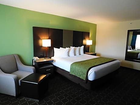 King Room - Non-Smoking