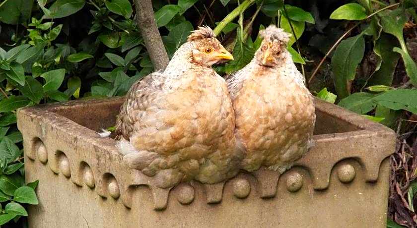 The Old Vicarage B&B