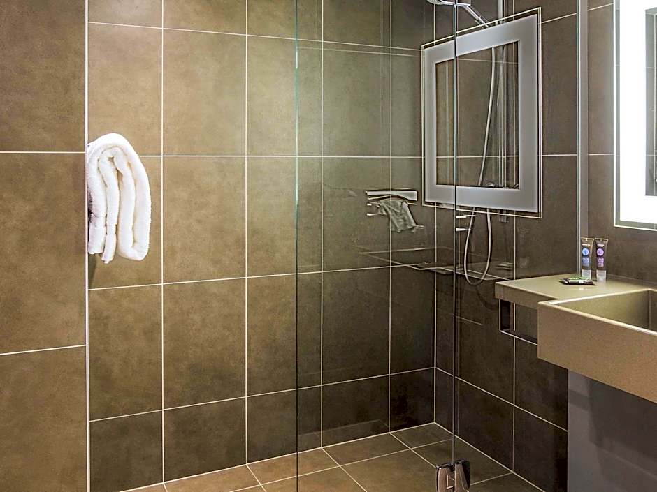 Novotel Strasbourg Centre Halles Hotel