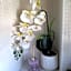 B&B Desenzano