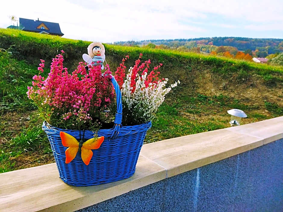 Pokoje goscinne u Olguni