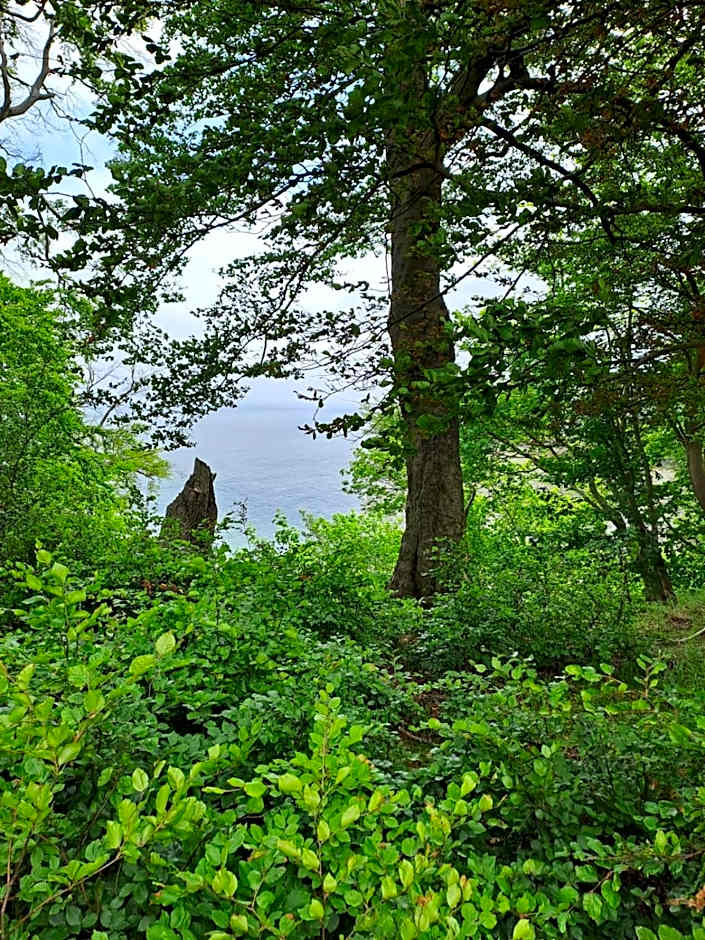 Gästehaus Windflüchter