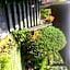 Hotel Bruna