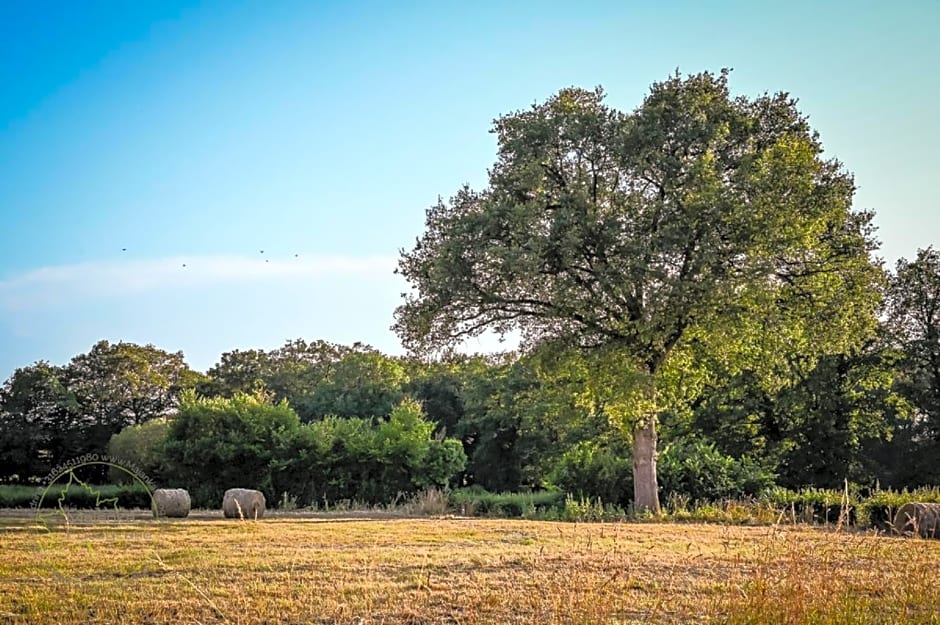 Studio Les Pourettes