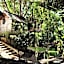 Roots Tree House