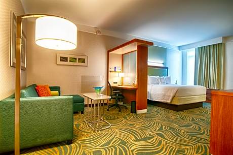 King Suite with Sofa Bed