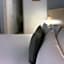 GLOBAL Apartments & Rooms