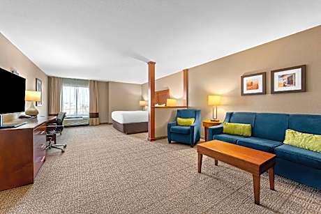 1 King Bed, Suite, Nonsmoking