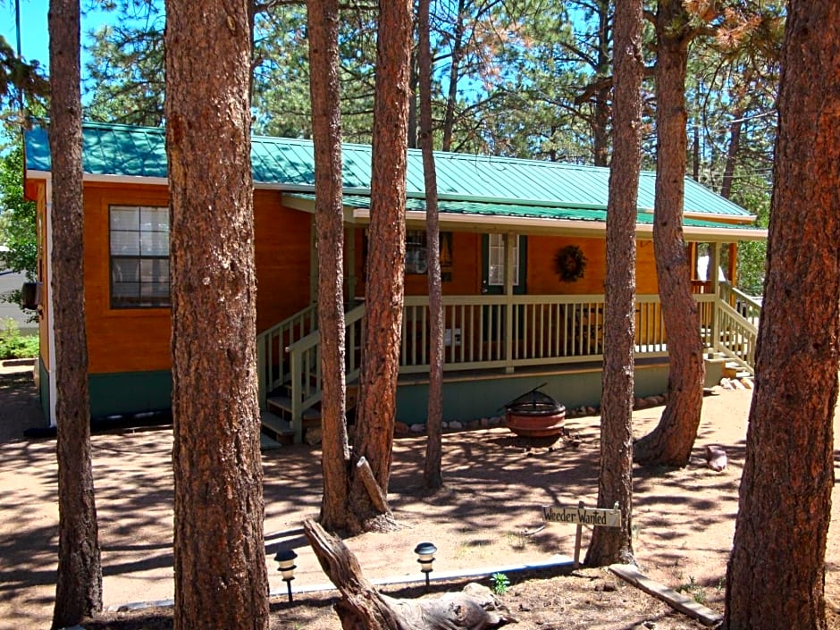 Bristlecone Lodge