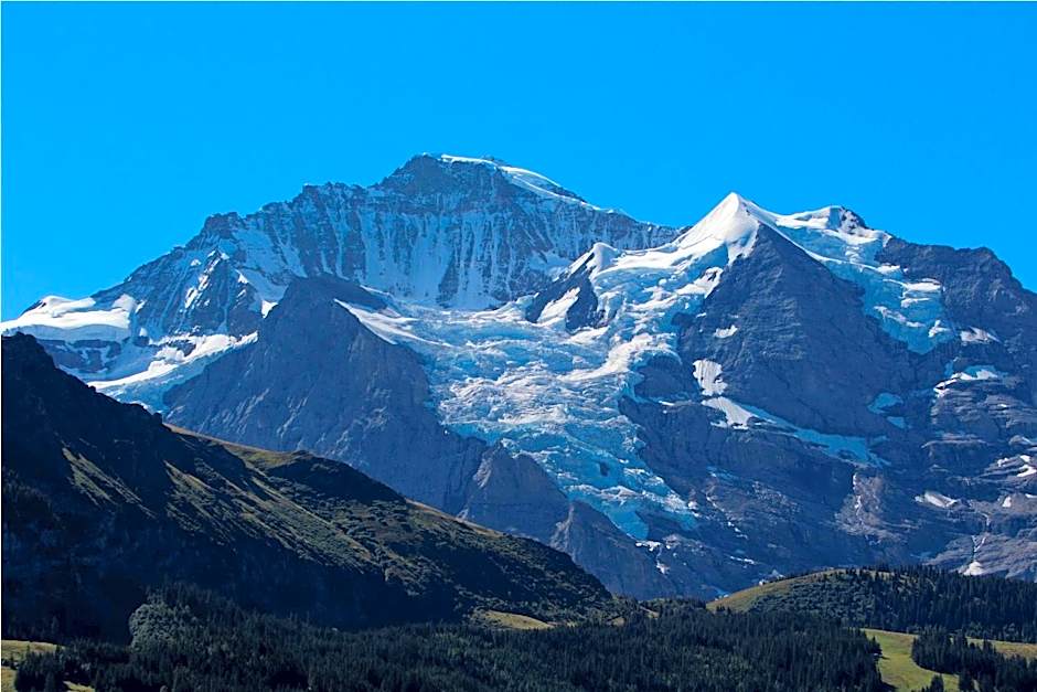 Hotel & Spa Silberhorn Wengen