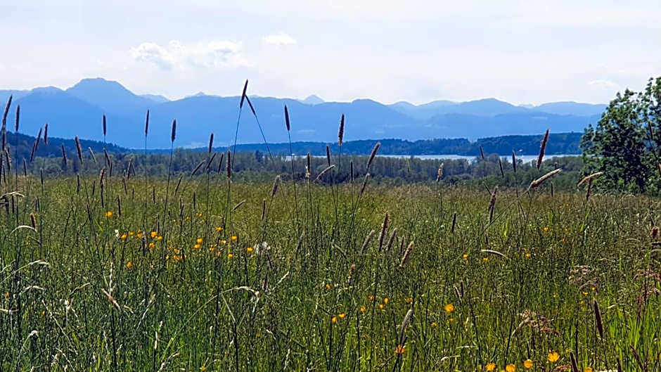 Der Blankhof "Back to Roots"