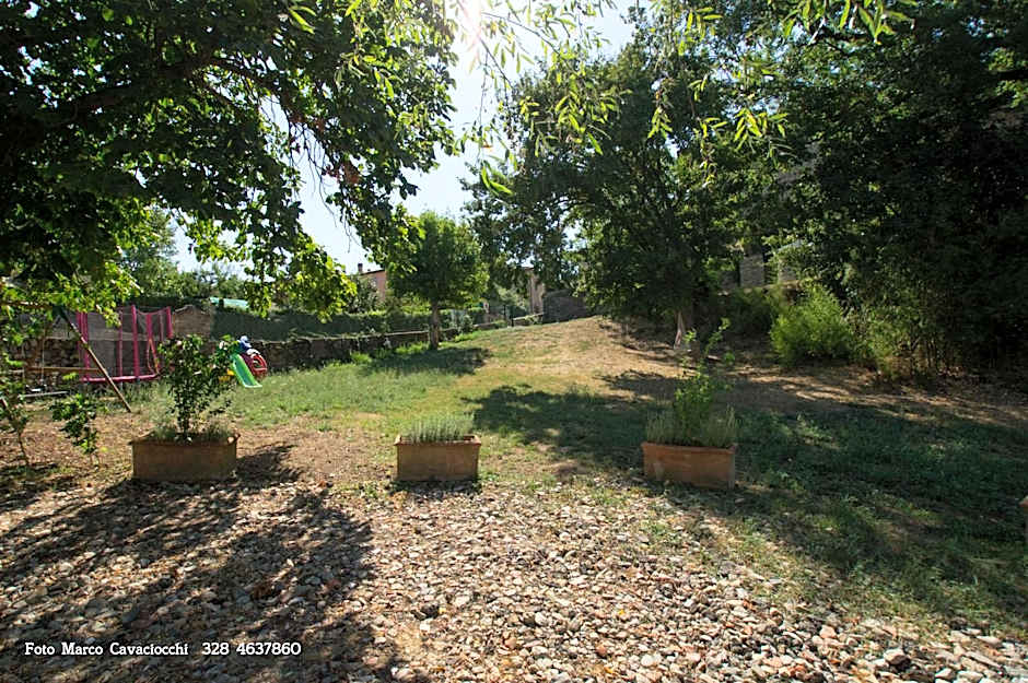 Il Bosso di Toscana