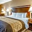 Quality Inn & Suites Mount Pleasant