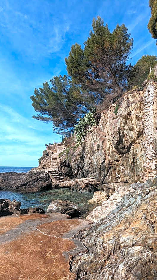 Hôtel Le Provençal - Rénové en 2025 - Bord de Mer