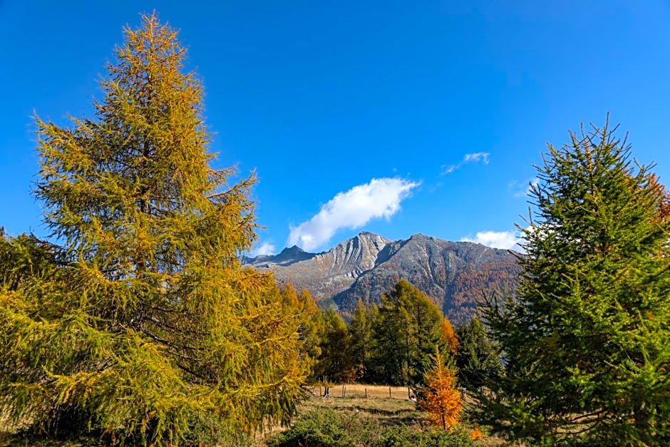 Brunner - Ferienwohnung im Hühnerhotel