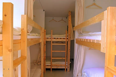 Bed in 10-Bed Mixed Dormitory Room