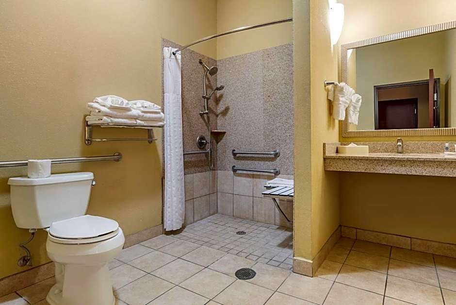 Comfort Suites Airport South