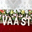 VAAST Bed & Breakfast